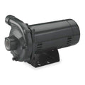 Cast Iron 2-1/2 HP Centrifugal Pump 230V