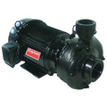 Cast Iron 7-1/2 HP Centrifugal Pump 208-230/460V