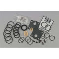 Pump Repair Kit, Air Motor