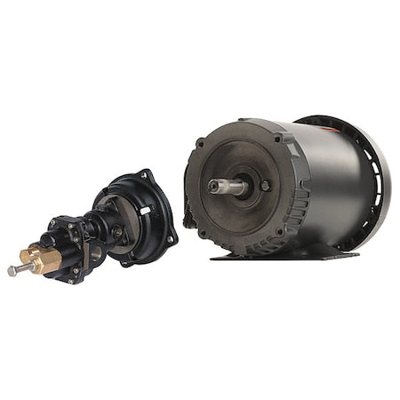 Rotary Pump,3Phase,125psi,Cst Iron,1HP