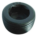 Pipe Plug