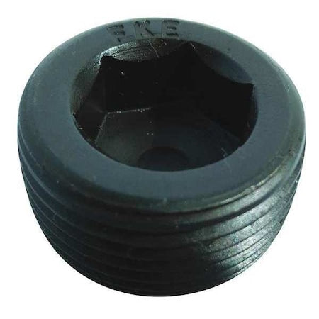 Pipe Plug