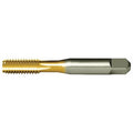 Straight Flute (Hand) Straight Flute Hand Tap, 3/4"-16, Bottoming, UNF, High Speed Steel, 4