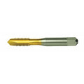 Spiral Point Tap Plug, 2 Flutes