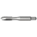 Spiral Point Tap Plug, 3 Flutes