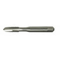 Spiral Point Tap, Plug, 2
