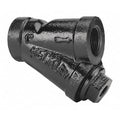 Y Strainer, 1/4" Pipe, Threaded, Cast iron