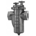 Basket Strainer, 1/2" Pipe, Threaded, Cast iron, 200 psi at 150 Degrees F WOG
