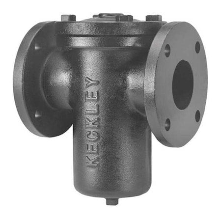 Basket Strainer, 3" Pipe, Flanged, Cast iron