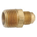 Strt, Brass, Flared 1/4 in, MNPT 1/4 in