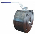 Manual 2-Way Ball Valve,Flange,A105 CS