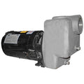 Centrifugal Pump, 2 hp, 208 to 230/460V AC, 3 Phase, 72 ft Max Head