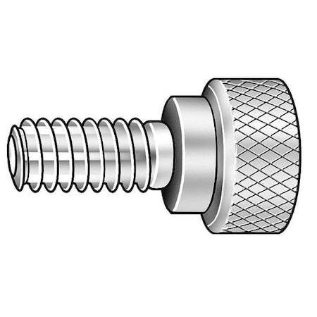 Thumb Screw, #8-32 Thread Size, Round, Plain 18-8 Stainless Steel, 7/32 in Head Ht, 13/16 in Lg