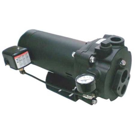 Convertible Jet Pump,CI,3/4HP,115/230V