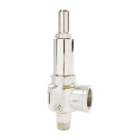 POP Safety Valve,1 x 1-1/4 In,350 psi
