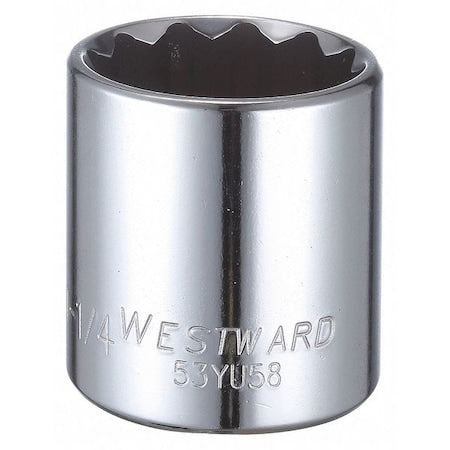 WESTWARD 1/2 in Drive, 1-1/4" Triple Square SAE, Socket, 12 Points,  Steel, Chrome, 1 1/4 in