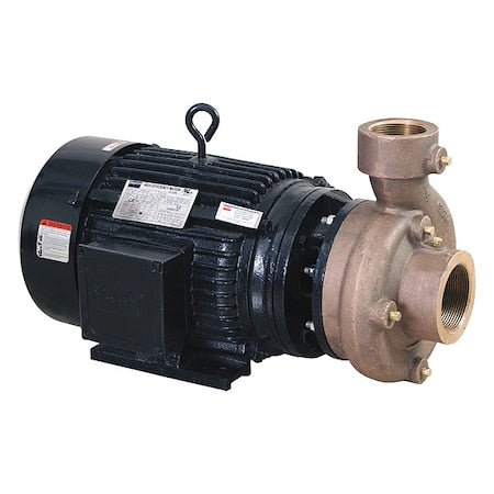 CentrfPmp,5hp,Brz,2",BunaN/Carbn/Ceramic