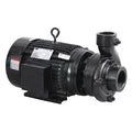 CentrfPmp,10hp,CI,2-1/2"