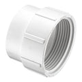 PVC Fitting Cleanout Body, Spigot x FNPT, 3 in Pipe Size