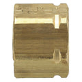 1/4" Compression-Align Brass Plug 25PK
