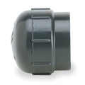 PVC Cap, NPT, 1/2 in Pipe Size