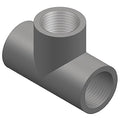 PVC Tee, FNPT x FNPT x FNPT, 3/4 in Pipe Size