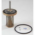 Repair Kit,Watts Series 909,2-1/2 to 3In