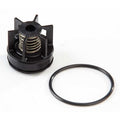 Repair Kit,Watts Series 007 M3, 3/4 In