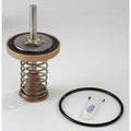 Repair Kit,Watts Series 909,2-1/2 to 3In