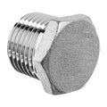 Plug, Stainless Steel, Threaded 1 in