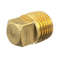 Brass Square Head Plug, Male BSPT