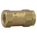 Check Valve,2 in Overall L