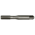 StraightFluteHandTap,1/2"-13,3.38in