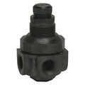 Pressure Regulator,1/4 In,0 to 125 psi