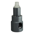 Pressure Relief Valve,3 In,5 to 100 psi