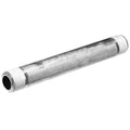PipeNipple,SS,1/4",NPTxNPT,6"