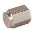 Cap, Stainless Steel, Threaded 1/2 in