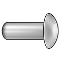 Semi-Tubular Rivet, Oval Head, 1/16 in Dia., 1/8 in L, Brass Body, 100 PK