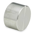 Cap, Stainless Steel, Socket 2 in