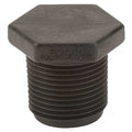 Plug, Polypropylene, 3/4", Schedule 80, 300 psi Max Pressure