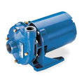Cast Iron 1-1/2 HP Centrifugal Pump 115/230V