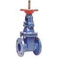 Gate Valve,4",Cast Iron,Flange