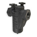 Basket Strainer, 2" Pipe, FNPT x FNPT, Cast iron, 200 psi at 150 Degrees F