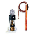 Dir. Acting Temp. Reg.,2 In,20 psi