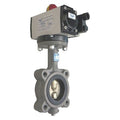 Butterfly Valve,Spring Return,Iron,2 In.