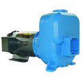 Centrifugal Pump, 3 hp, 208 to 230/460V AC, 3 Phase, 105 ft Max Head