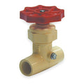 Stop and Waste Valve,3/4 In,Solvent