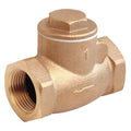 Swing Check Valve,4.5 in Overall L