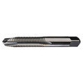 Spiral Point Tap, Plug, 2