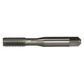 Straight Flute Hand Tap, M12-1.25, Bottoming, 4 Flutes, Metric Fine